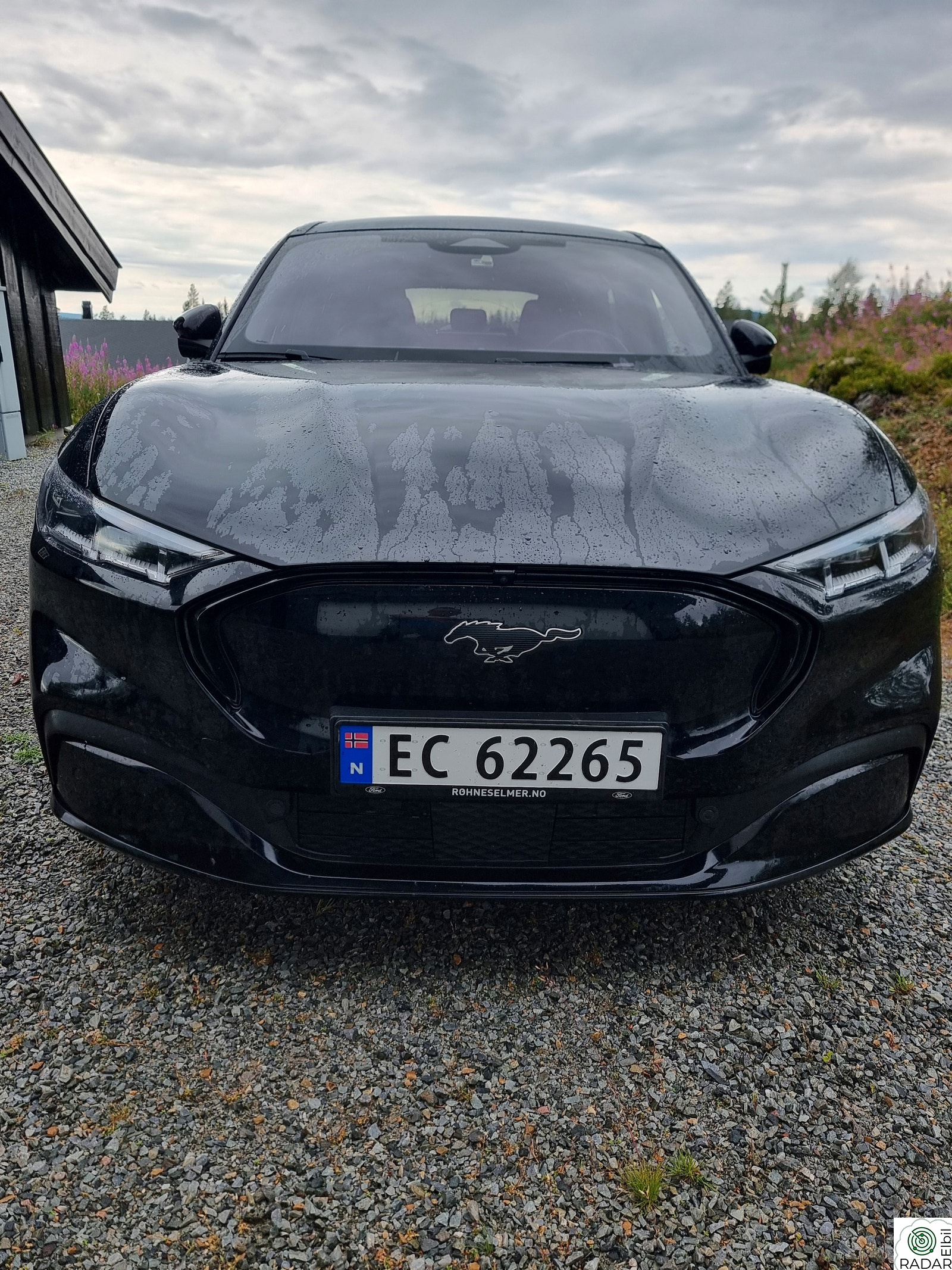 FORD Mustang Mach-E First Edition AWD med resterende nybilgaranti