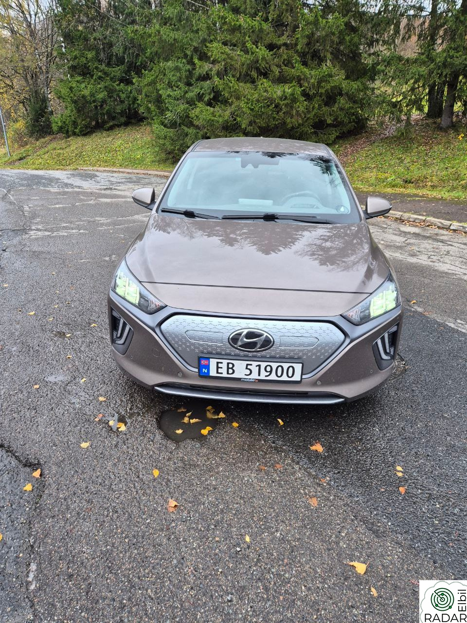 HYUNDAI IONIQ EV Teknikk + Skinn Mye20