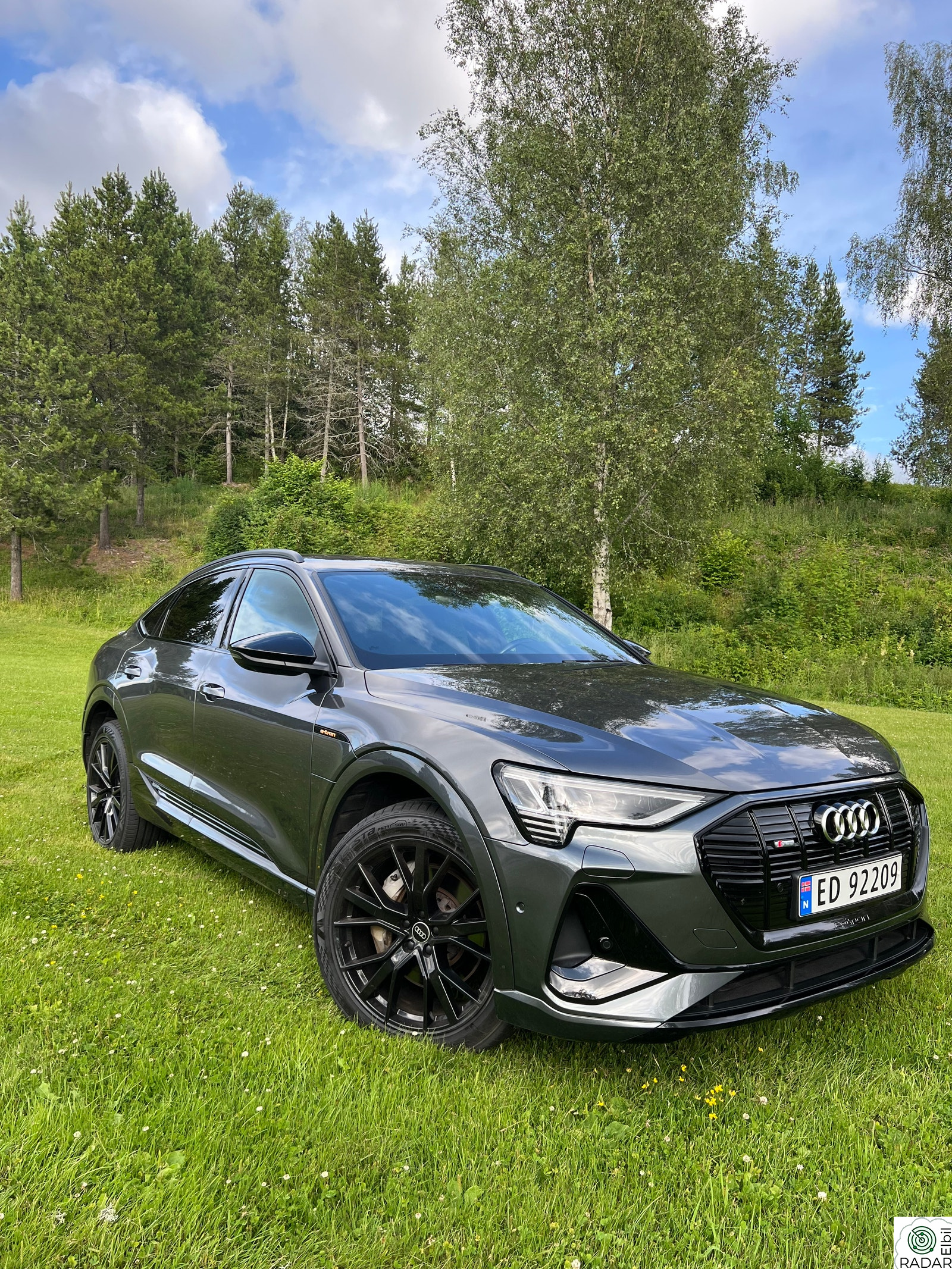 AUDI E TRON SPORTBACK 55 SPORTBACK/55/S-Line/ACC/360/H.Feste/Sommer+Vin