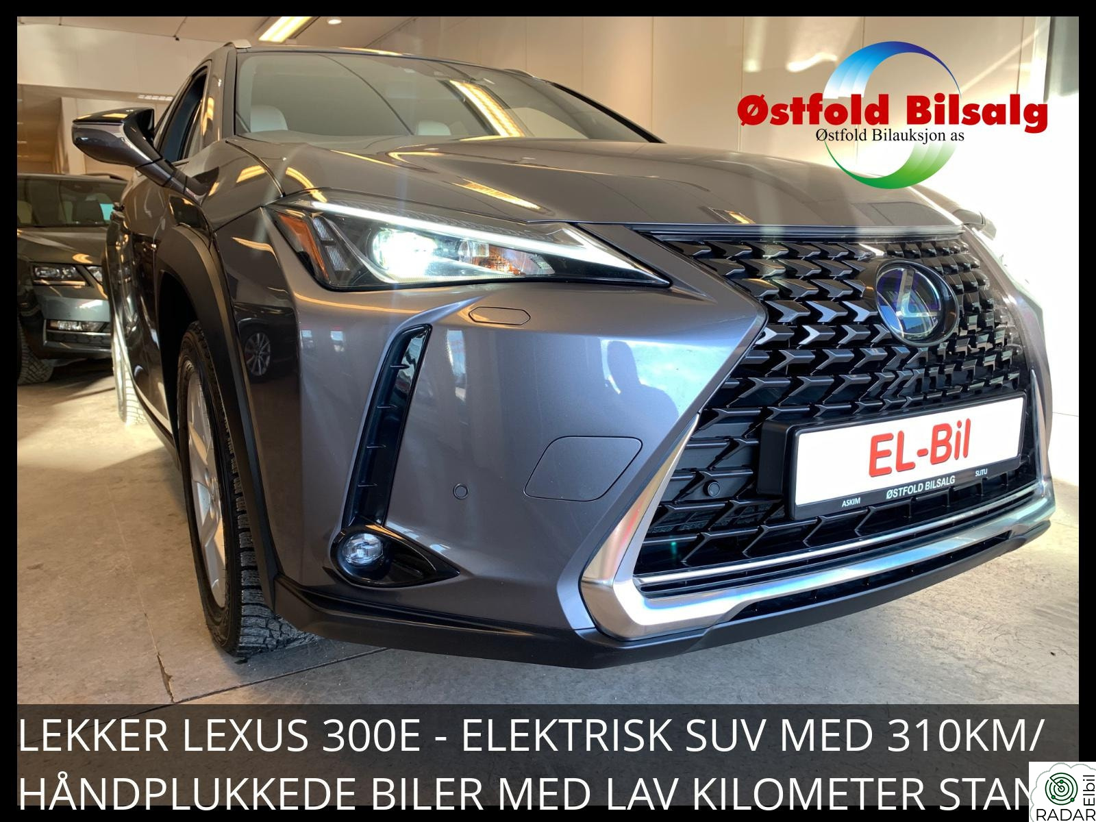 LEXUS UX300E 300E-204HK/310KM-WLTP PREMIUM AUT SOLTAK SKINN ACC