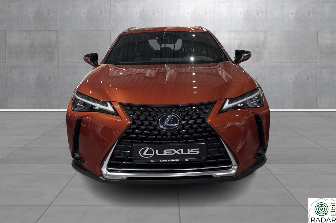 LEXUS UX300E UX300e Luxury