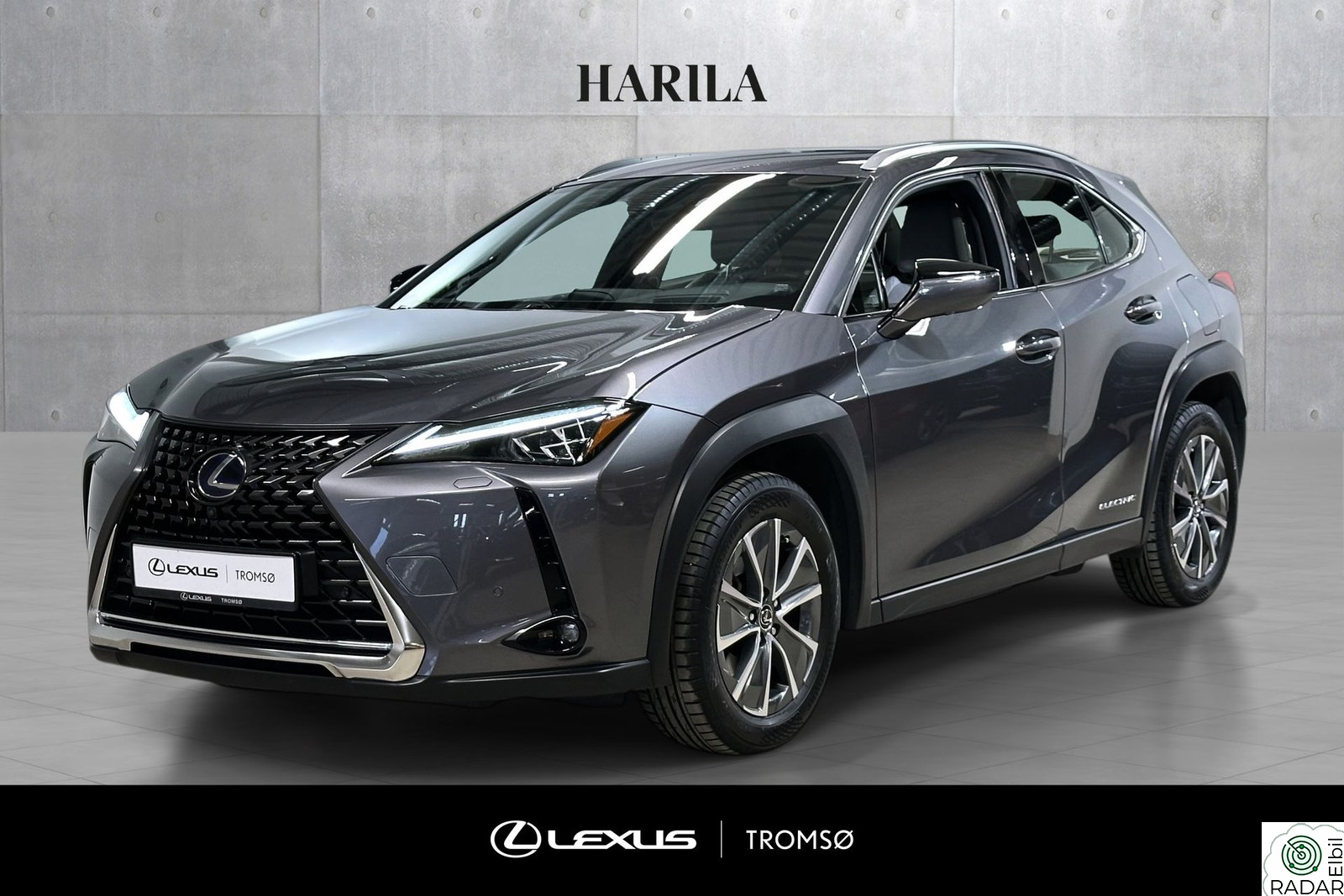 LEXUS UX300E Luxury