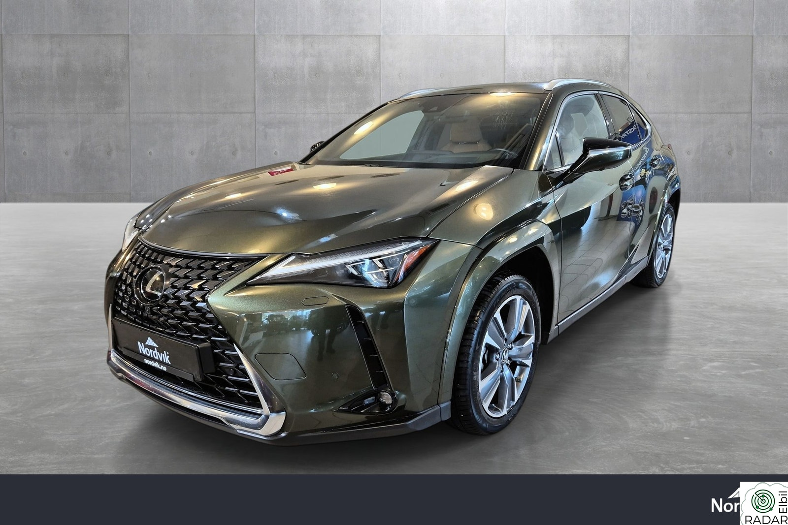 LEXUS UX300E Luxury-Panoramatak-Skinnseter-450km