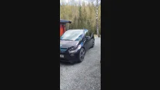 Nåværende bilde