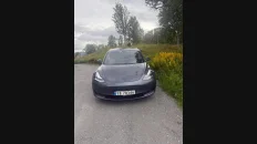 Nåværende bilde