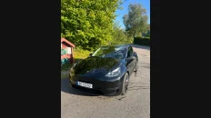 Nåværende bilde